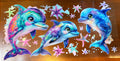 Dolphin